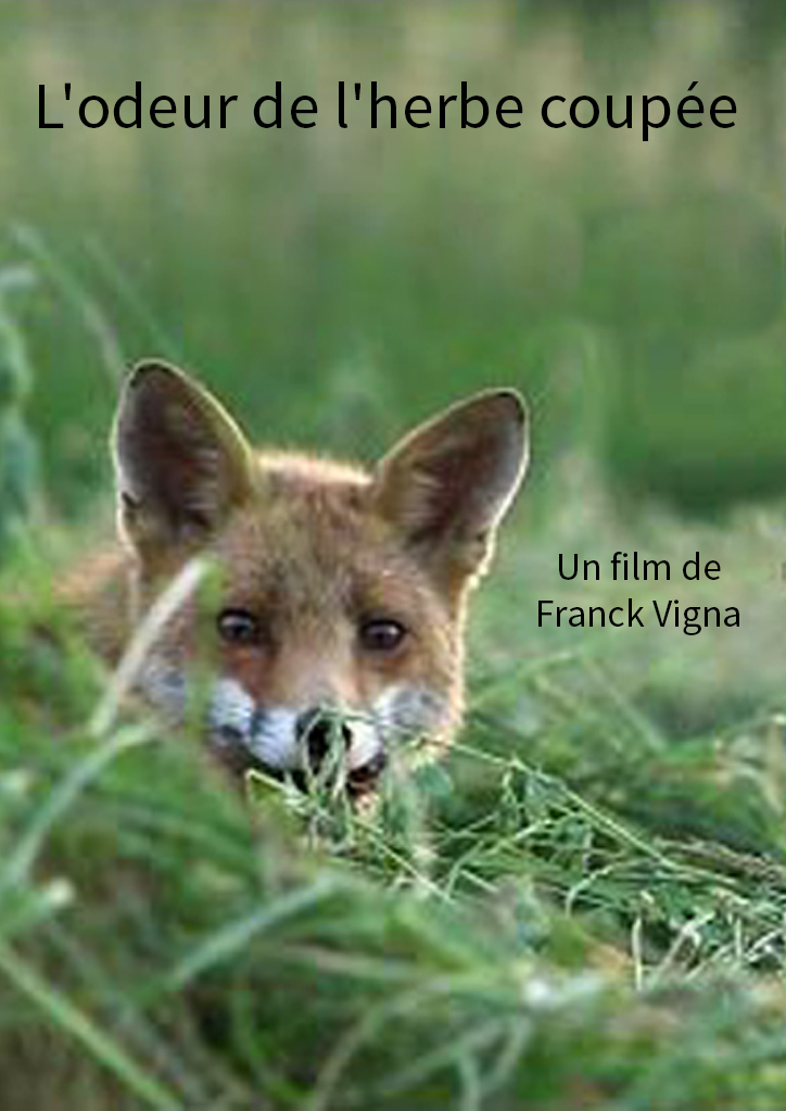 Saluterre. Festival du livre, invitation à la rencontre du vivant. Finistère. Tregunc. Bretagne.