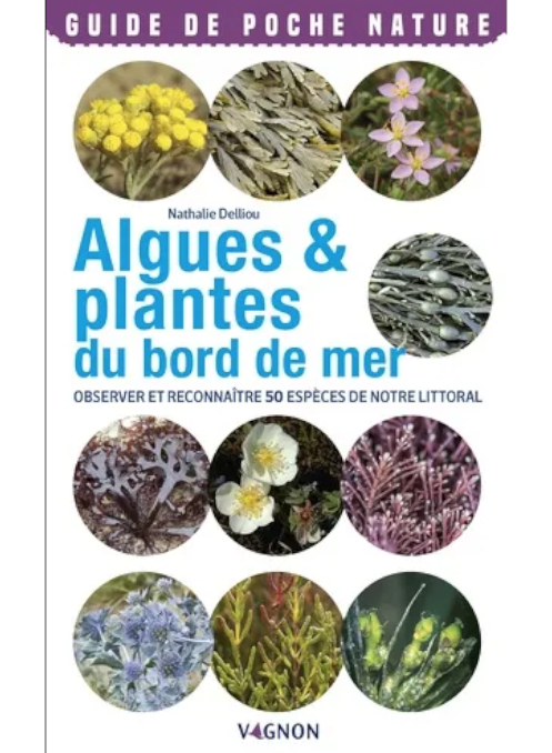 Saluterre. Festival du livre, invitation à la rencontre du vivant. Finistère. Tregunc. Bretagne.