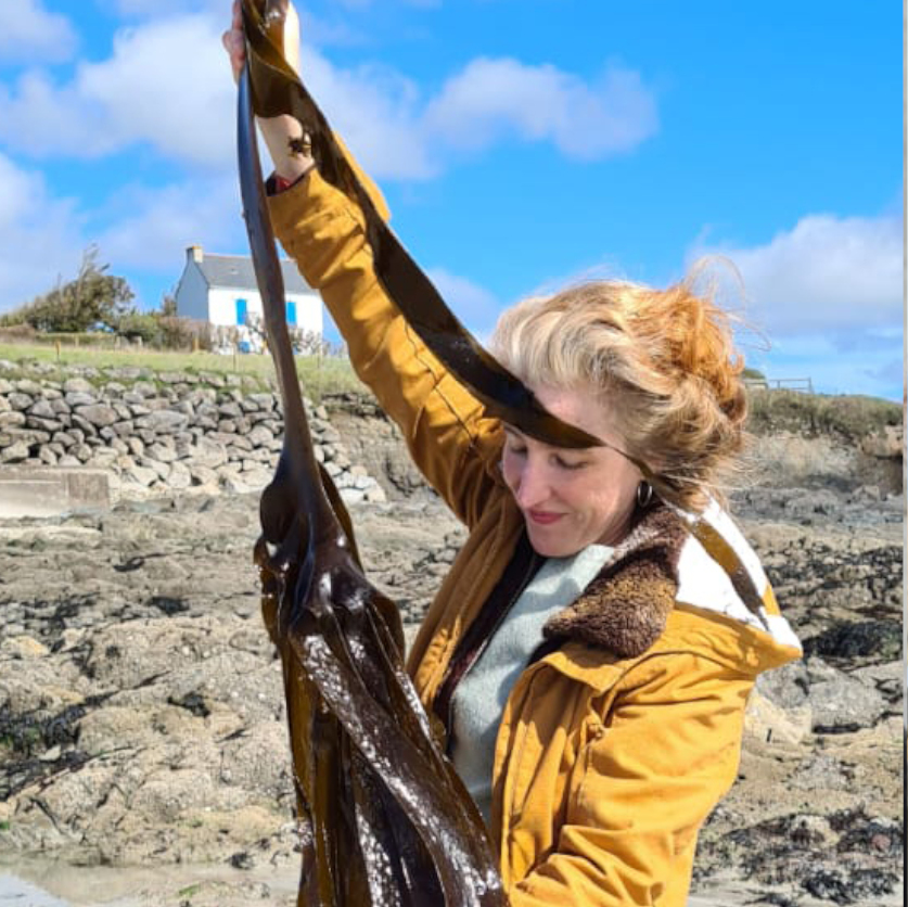 Saluterre. Festival du livre, le vivant dans tous ses états. Finistère. Tregunc. Bretagne.