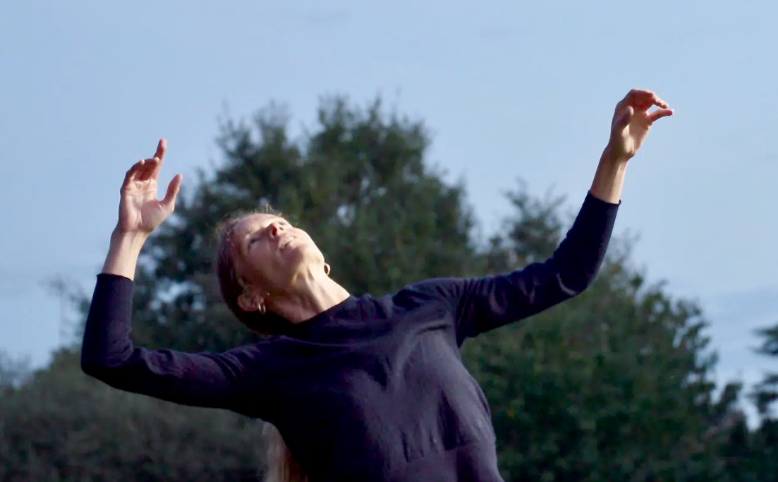 Saluterre. Festival du livre, le vivant dans tous ses états. Finistère. Tregunc. Bretagne.
