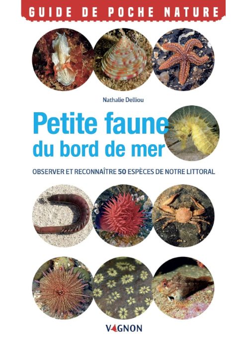 Saluterre. Festival du livre, invitation à la rencontre du vivant. Finistère. Tregunc. Bretagne.