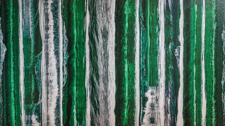 Saluterre. Festival du livre, le vivant dans tous ses états. Finistère. Tregunc. Bretagne.