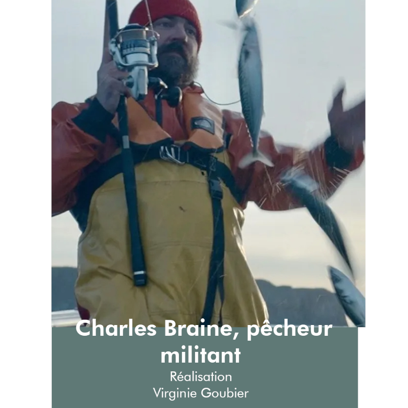 Saluterre. Festival du livre, le vivant dans tous ses états. Finistère. Tregunc. Bretagne.