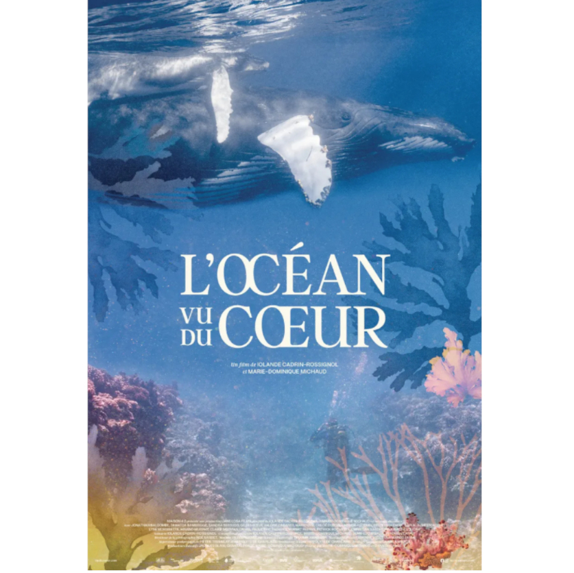 Saluterre. Festival du livre, invitation à la rencontre du vivant. Finistère. Tregunc. Bretagne.