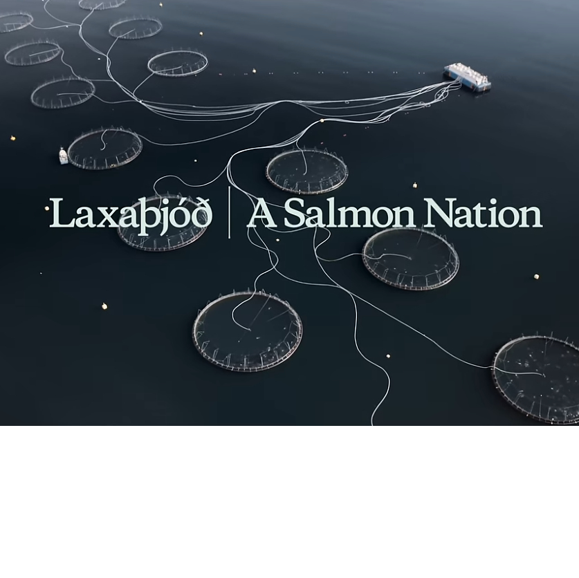 Saluterre. Festival du livre, le vivant dans tous ses états. Finistère. Tregunc. Bretagne.